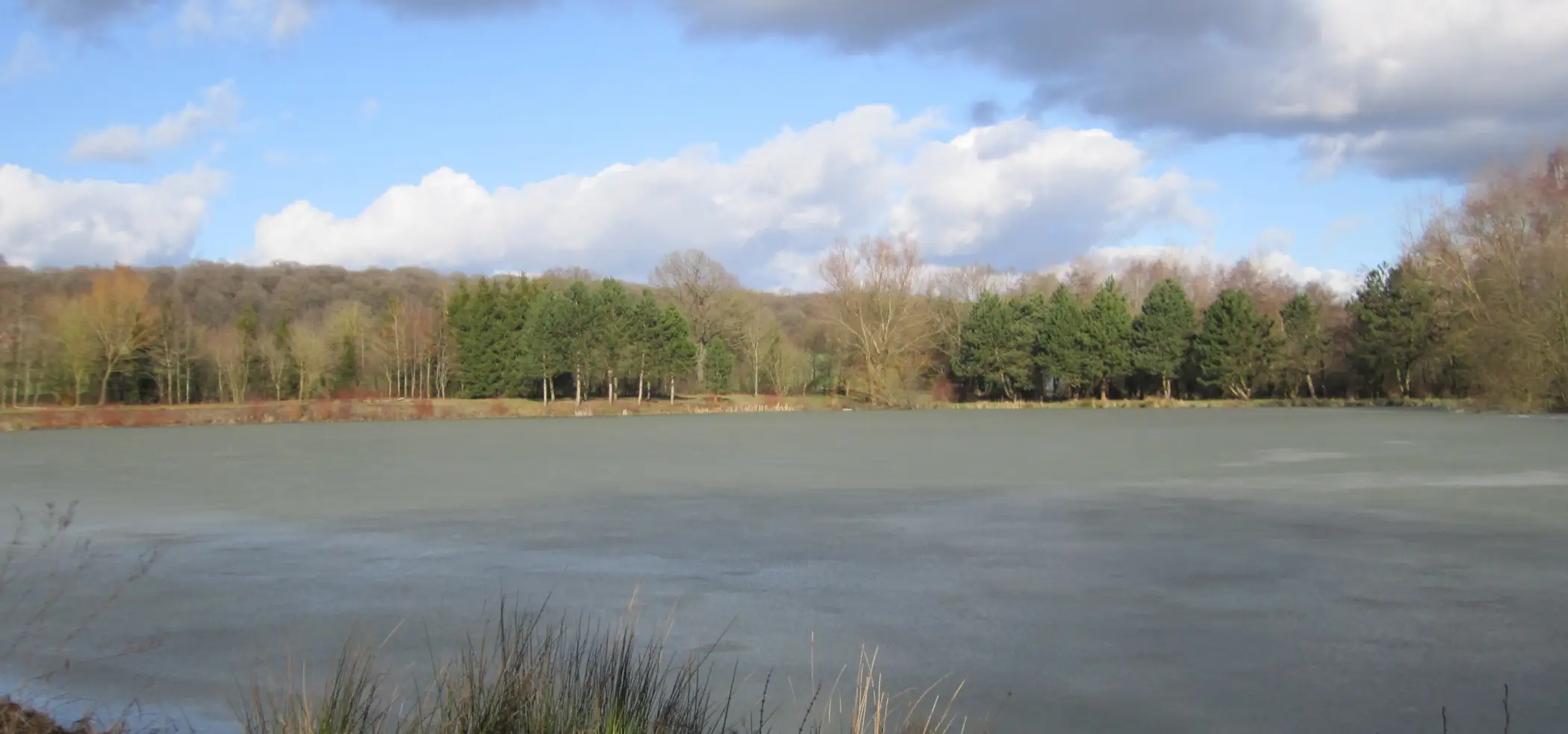 Cottage for 6 people in Chimay Chalet de l’Etang du Marteau